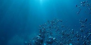Les concentrations en mercure dans les océans ont été multipliées par trois depuis la révolution industrielle