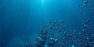 Acidification des océans : cartographie d'un phénomène 10 fois plus rapide qu'il y a 56 millions d'années