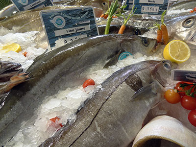 Comment manger du poisson sans s'intoxiquer au mercure ?