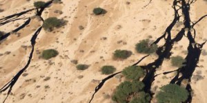 Rupture d'un oléoduc en Israël : le plus grand désastre écologique du pays