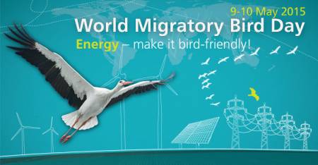 Journée mondiale des oiseaux migrateurs : 'pour une énergie respectueuse des oiseaux'