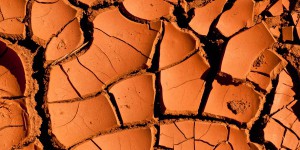 La sécheresse : causes et conséquences
