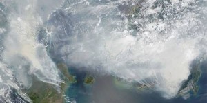 L'Indonésie est ravagée par des incendies hors de contrôle qui étouffent les populations