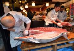 BIODIVERSITÉ • Tokyo fait un pas vers la protection du thon