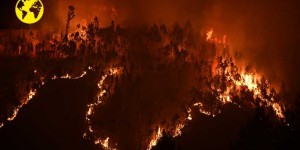 Incendie au Portugal. “Depuis cinquante ans, toutes les mises en garde tombent dans l’oreille d’un sourd”