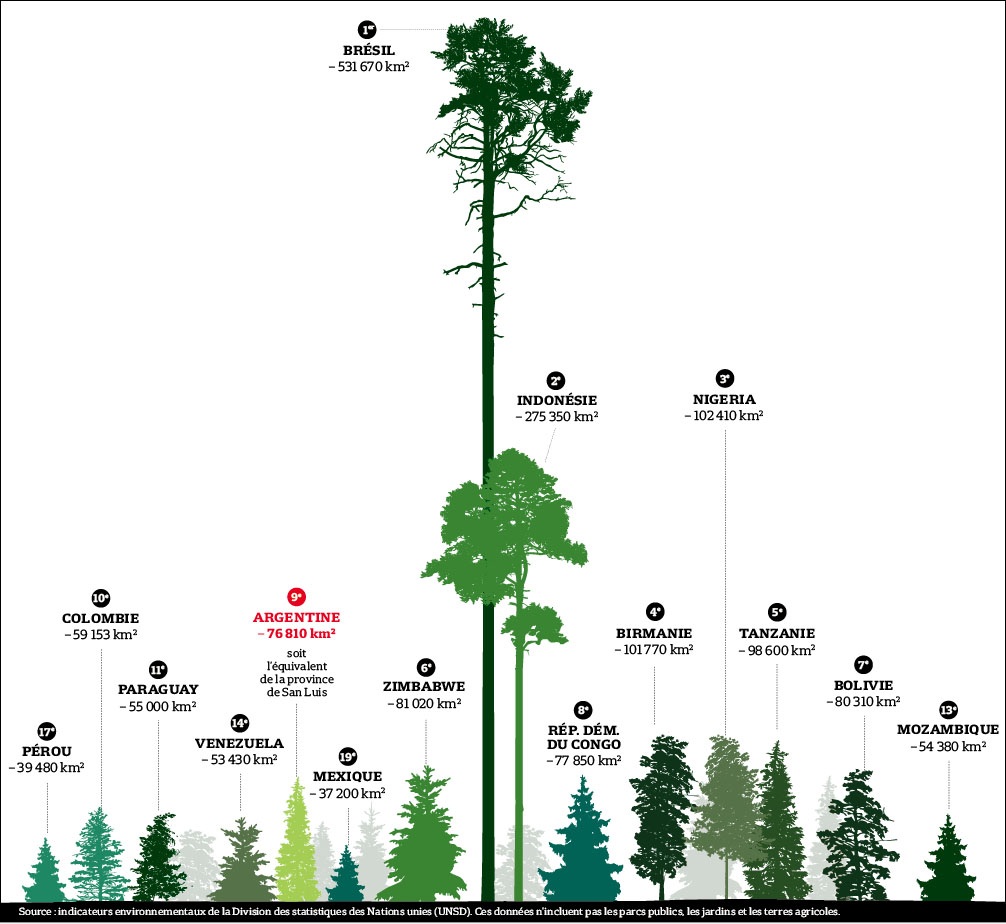 Infographie. Les quinze champions mondiaux de la déforestation