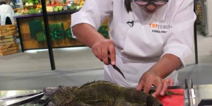 Salvador. La cuisine d'iguane dans Top Chef suscite l'indignation