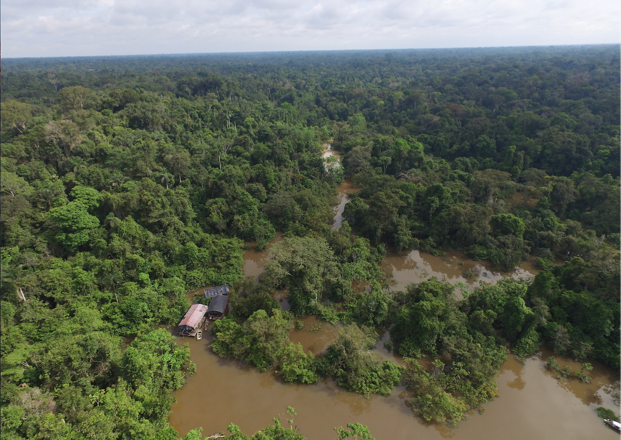 Au Pérou, le pape François se rend en Amazonie pour alerter sur l’environnement