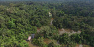 Au Pérou, le pape François se rend en Amazonie pour alerter sur l’environnement