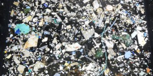 Pacifique : la mer de plastique grandit à toute allure