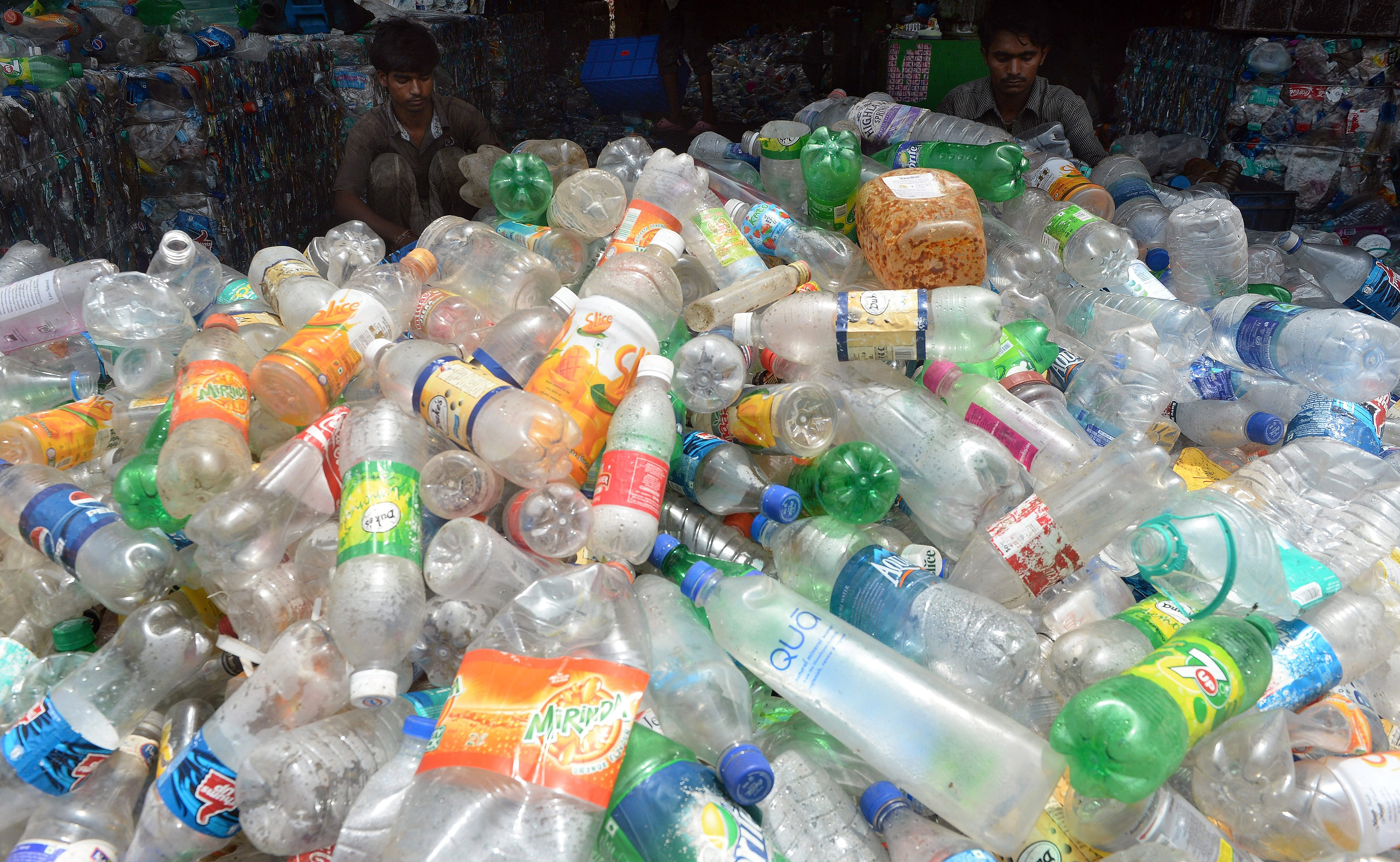 Une enzyme qui digère le plastique : la solution à la pollution ?