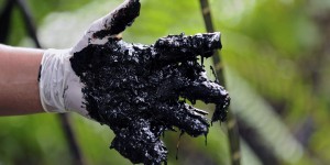 Hydrocarbures. En Équateur, les indiens vainqueurs d’un conflit environnemental vieux de vingt-cinq ans 