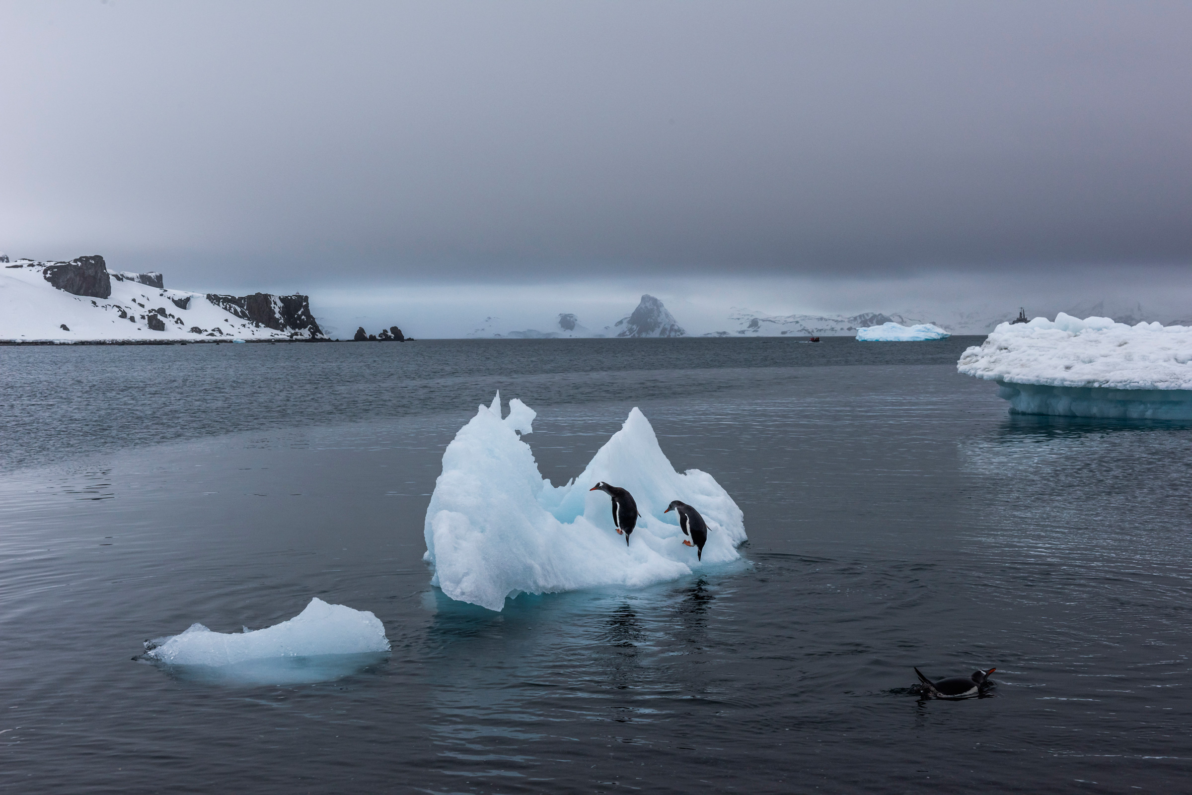 Y a-t-il quelqu’un pour sauver l’Antarctique ?