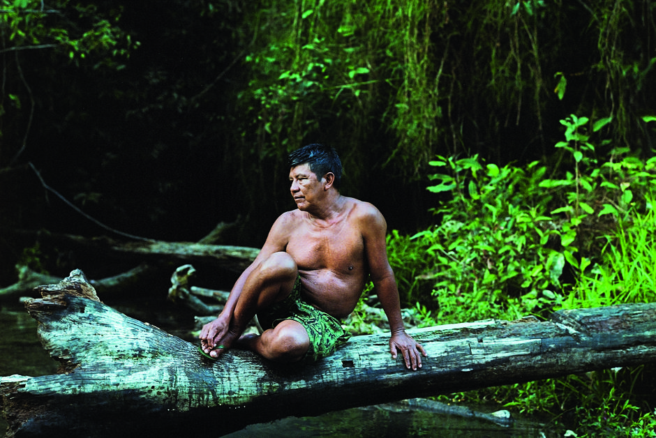 Environnement. S'immerger en Amazonie grâce aux technologies