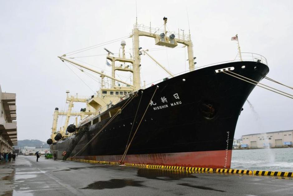 Japon. La chasse “commerciale” des baleines va reprendre