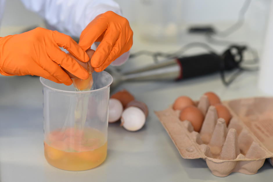 Fipronil : l’État rattrapé par le scandale des œufs contaminés