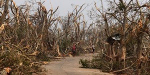 Après le cyclone Fani en Inde, le désastre écologique