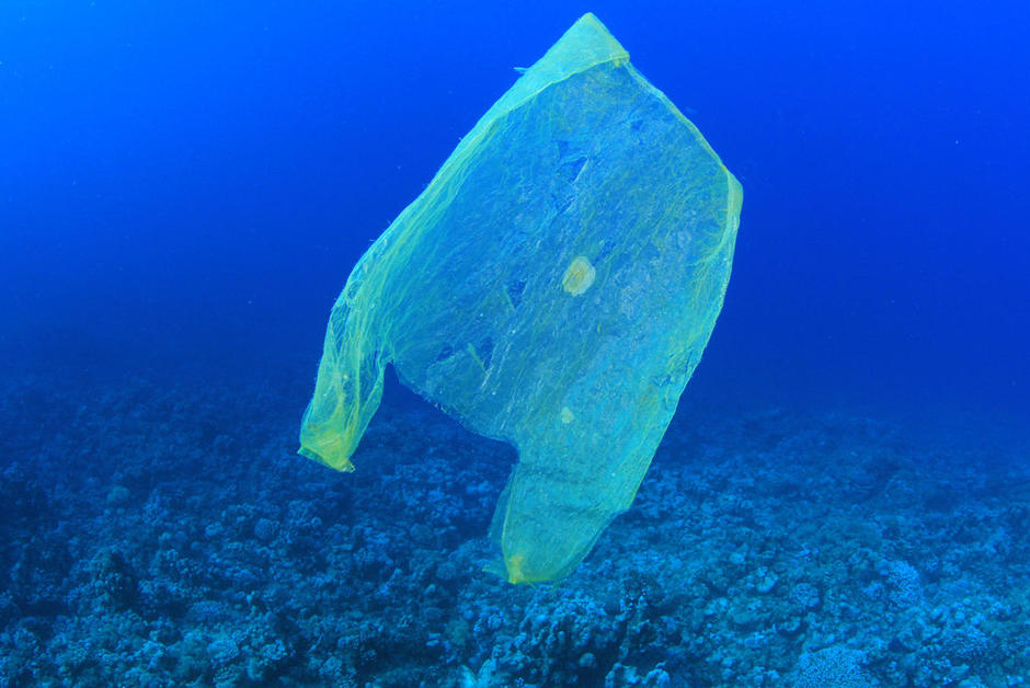 Le sac plastique le plus profond jamais trouvé, à près de 12 km sous l’eau