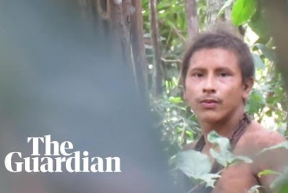 Les images rares des Awa, tribu menacée d’extinction en Amazonie