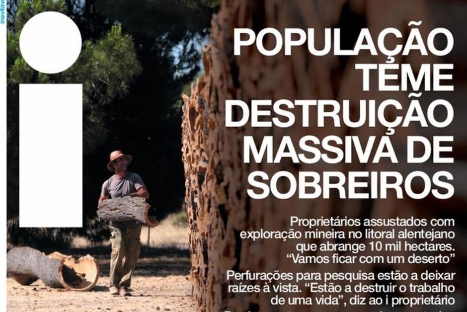 Au Portugal, des propriétaires de chênes-lièges redoutent “une destruction massive”