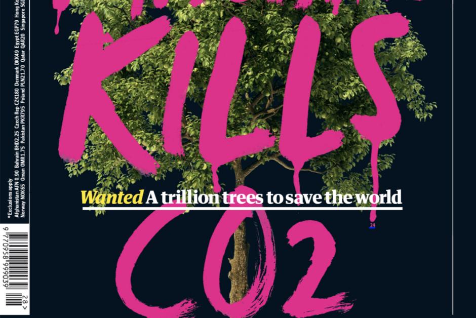 “Wanted : un billion d’arbres pour sauver le monde”