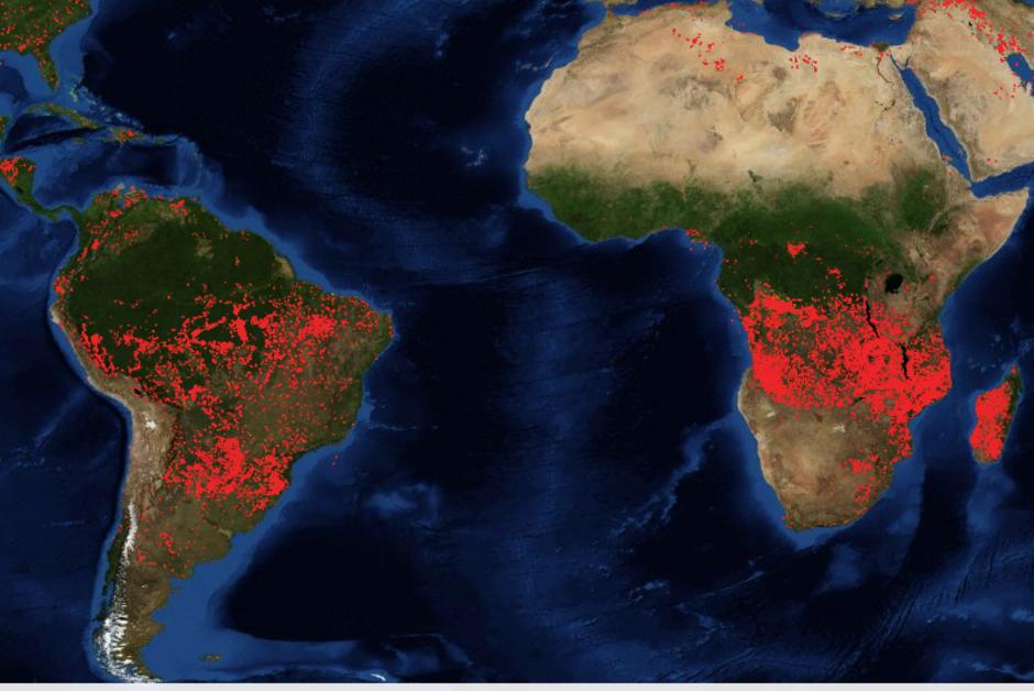 Pourquoi les incendies en Afrique sont moins inquiétants qu’en Amazonie
