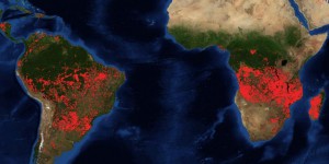 Pourquoi les incendies en Afrique sont moins inquiétants qu’en Amazonie