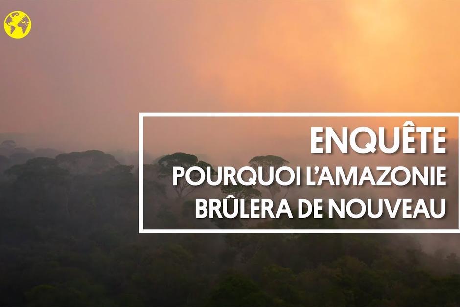 Brésil : voilà pourquoi l’Amazonie brûlera à nouveau
