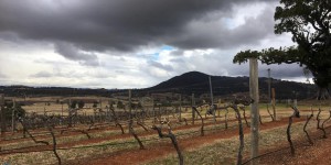 Avec les incendies en Australie, la crainte de vins au goût de fumée