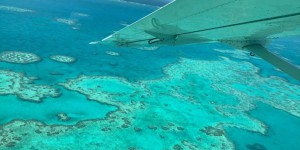 Le réchauffement climatique sera-t-il fatal à la Grande Barrière de corail ?