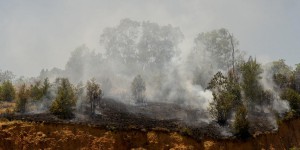 En Indonésie, gare au duo mortel, Covid-19 et feux de forêt !