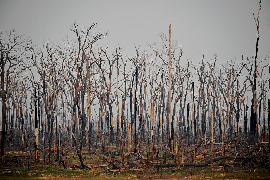 L’Amazonie brûle, et le pire reste à craindre