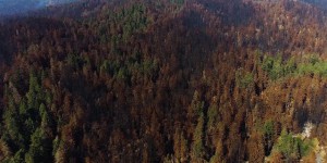 En Californie, un drone filme l’ampleur des dégâts des feux de forêt de l’été