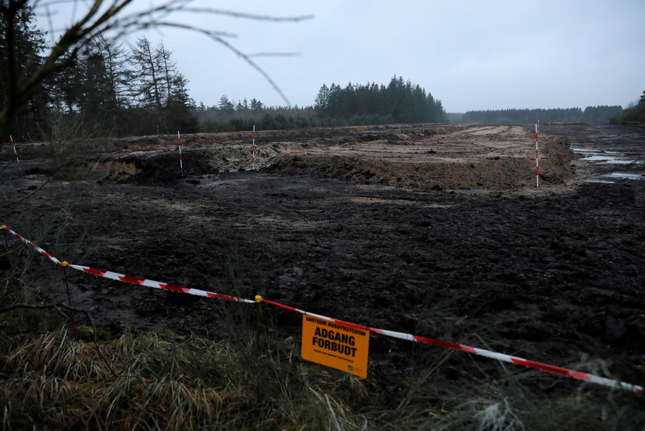 Le Danemark interdit l’élevage de visons et prévoit d’exhumer 4 millions de cadavres