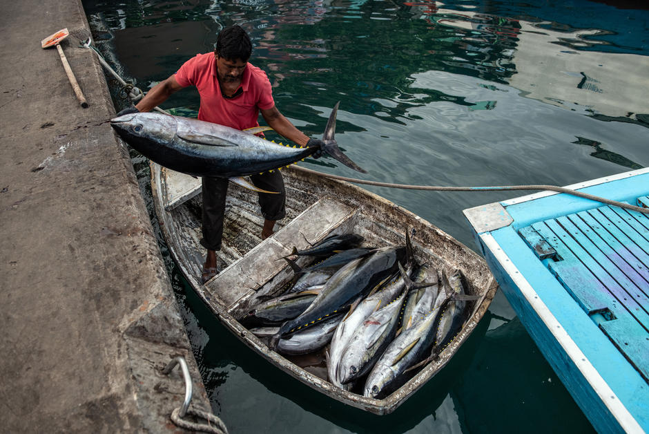 Surpêche dans l’océan Indien : l’UE accusée de “néocolonialisme”