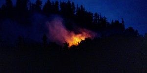  En Californie, un séquoia géant toujours en feu neuf mois après un incendie