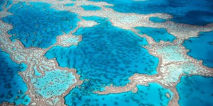 Grande Barrière de corail : l’Unesco plie devant l’Australie