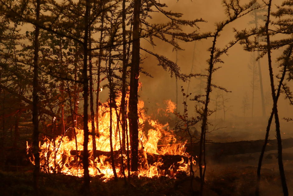 En Sibérie, les feux de forêt ont déjà ravagé 1,5 million d’hectares