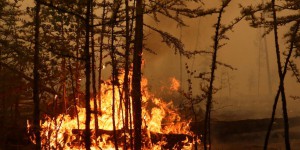 En Sibérie, les feux de forêt ont déjà ravagé 1,5 million d’hectares