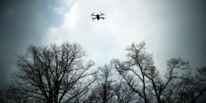 Faisons comme les Français, protégeons la faune contre les drones !