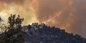 Les incendies en Algérie visent à provoquer “une instabilité généralisée”
