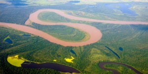 Dans l’Amazonie brésilienne, la “relation intime” entre les trafics de cocaïne et de bois exotiques
