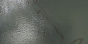 Des dizaines de nappes de pétrole dans le golfe du Mexique après l’ouragan Ida