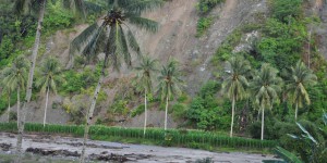 L’Indonésie rompt son accord de lutte contre la déforestation avec la Norvège