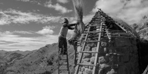 Climat : au Pérou, le génie ancestral des Incas au secours des récoltes 