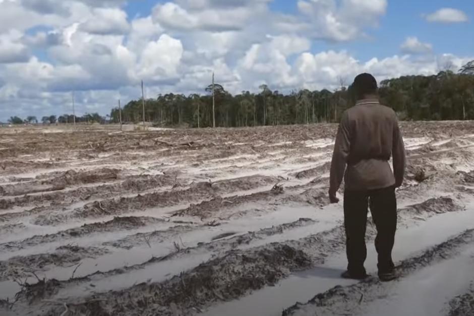 La folie des grandeurs agricole du président Joko Widodo
