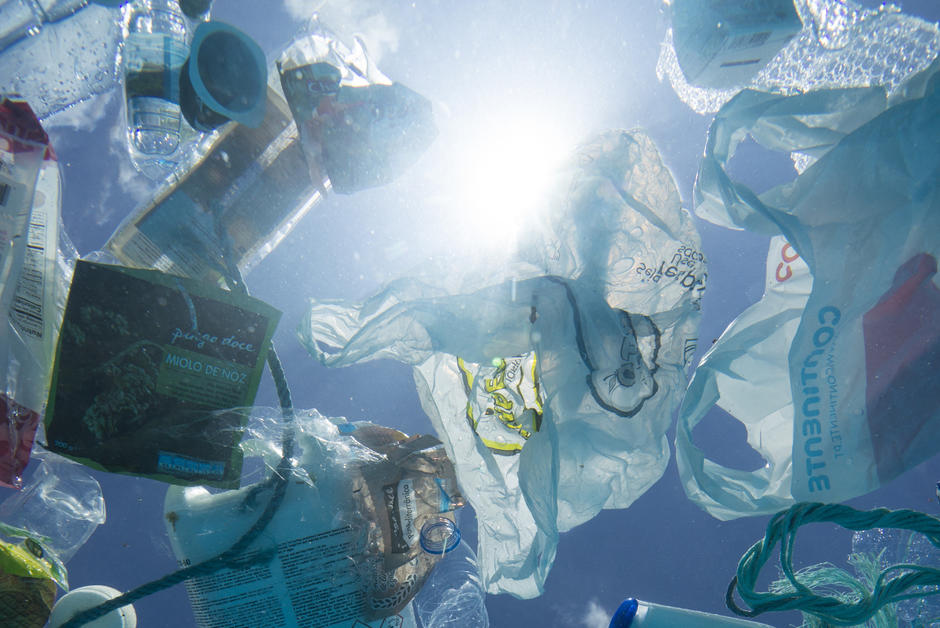 Les déchets plastiques abritent des espèces côtières en pleine mer