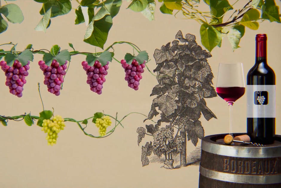 Le vin survivra-t-il aux changements climatiques  ?