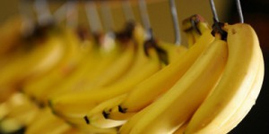 Une banane OGM, dopée à la vitamine A, va être testée