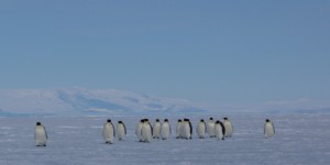 ​L’Antarctique fond plus vite que prévu